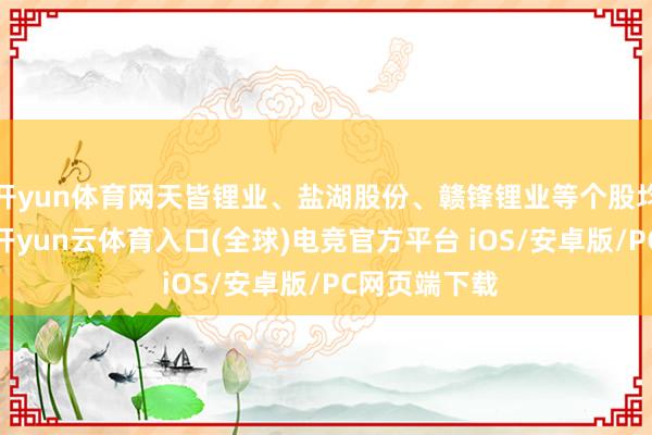 开yun体育网天皆锂业、盐湖股份、赣锋锂业等个股均大涨超3%-开yun云体育入口(全球)电竞官方平台 iOS/安卓版/PC网页端下载