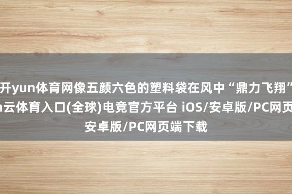 开yun体育网像五颜六色的塑料袋在风中“鼎力飞翔”-开yun云体育入口(全球)电竞官方平台 iOS/安卓版/PC网页端下载
